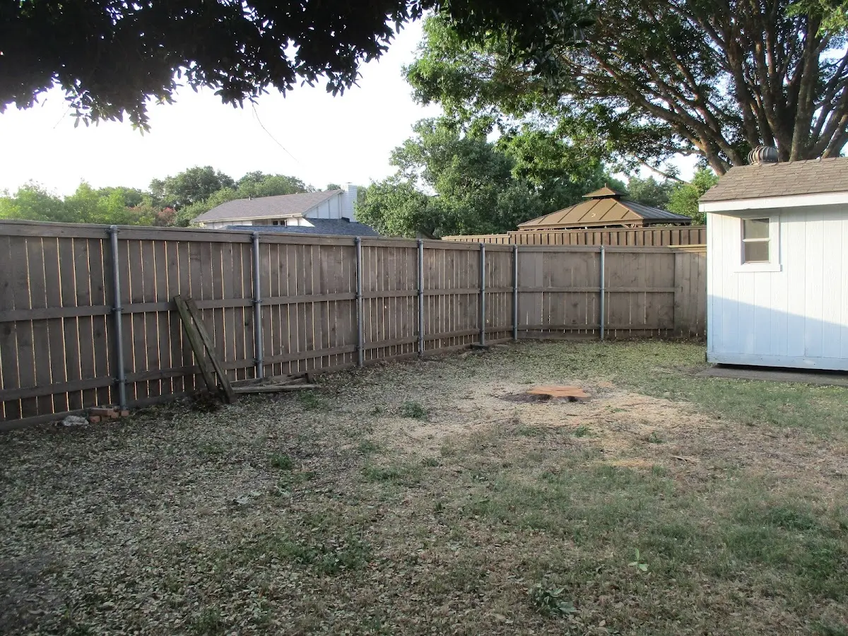 Cleared yard after professional tree removal in Mormon Lake